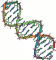 DNA double helix 45.png